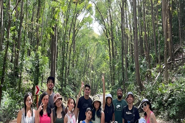 Bohol Tour: Cruzeiro Privado Loboc River, Chocolate Hills & Tarsier