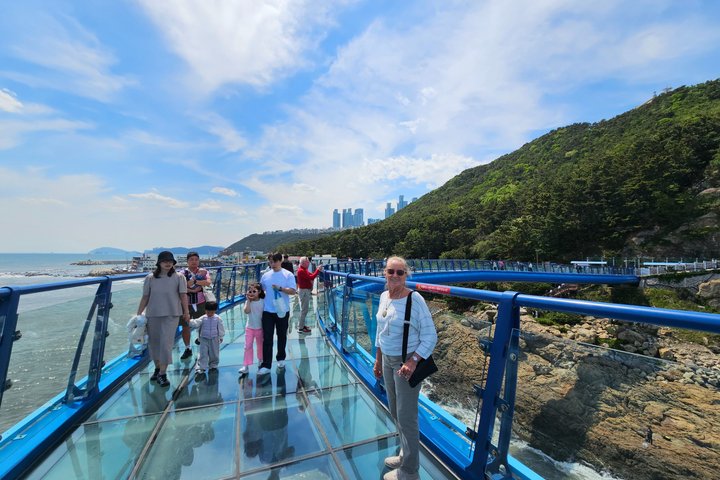 Puerto de cruceros de Busan – Excursión Premium para grupos pequeños (máx. 6 personas)