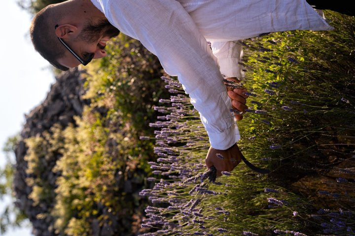 Hvar Lavenderfelt, Stenbyer og naturskjønne utsikter av eTuk Tuk