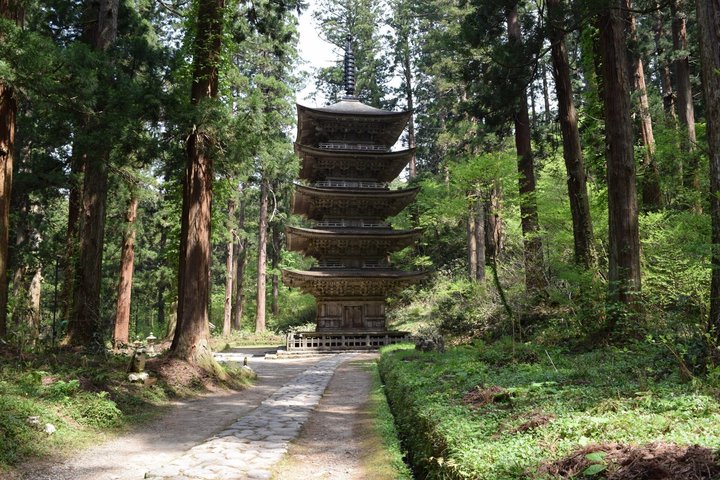 Excursão privada Mt Haguro Pagoda Express a partir do porto de Sakata