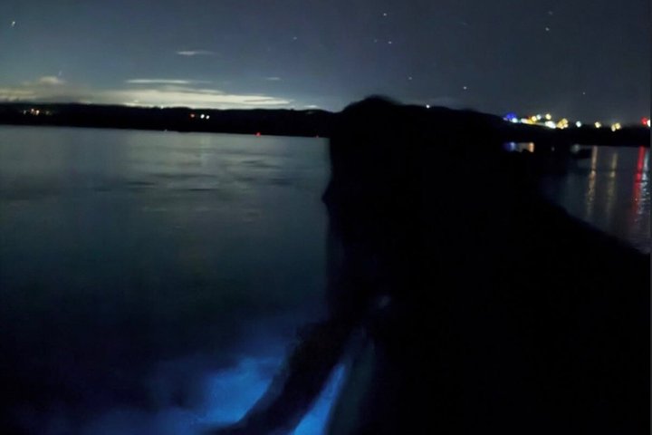 Vieques Puerto Rico Kajakupplevelse - Världens ljusaste BioBay