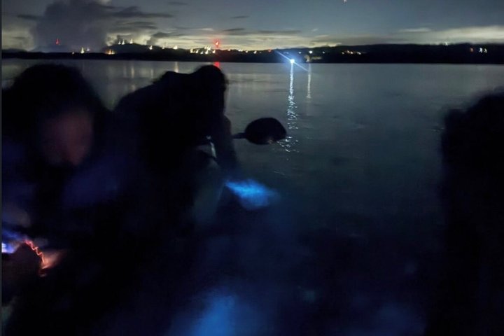 Vieques Puerto Rico Kajakupplevelse - Världens ljusaste BioBay