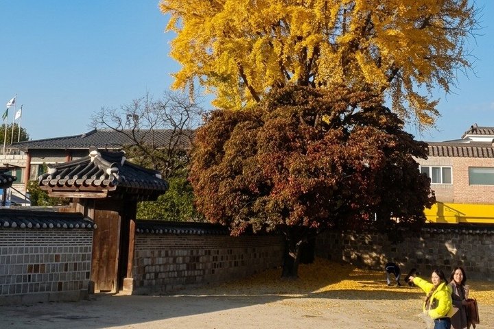 Tour Privado a la Fortaleza Suwon Hwaseong : UNESCO & Gemas Locales
