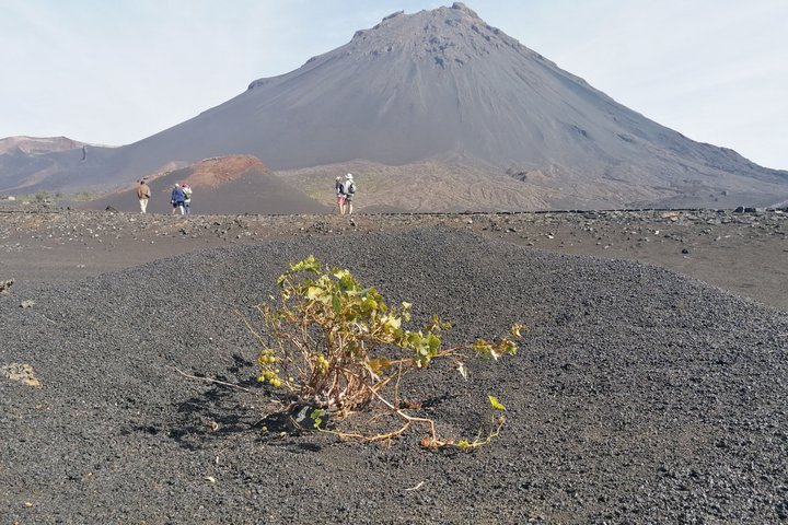 Wanderung zum Petit Pico und zum Krater von 2014