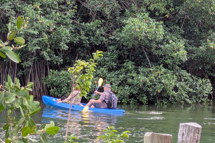 Garifuna kulturelles und kulinarisches Erlebnis in Hopkins, Belize