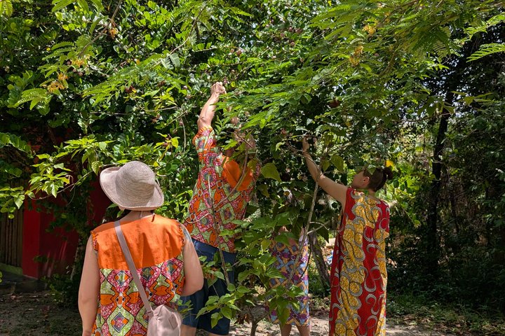 Garifuna kulturelles und kulinarisches Erlebnis in Hopkins, Belize