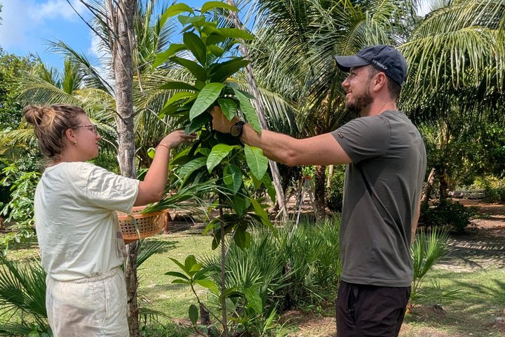 Garifuna kulturelles und kulinarisches Erlebnis in Hopkins, Belize