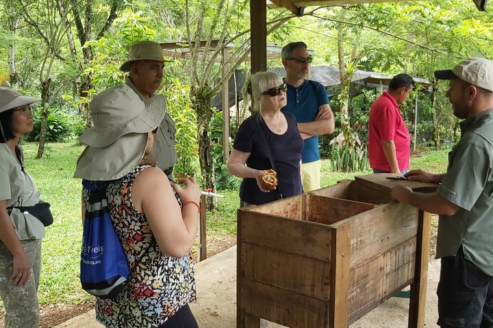 Avventura al Lago Yojoa: cascate, grotte ed esperienza con il cioccolato