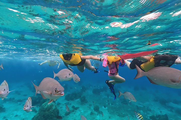 ATV 4×4+Cenote+Snorkeling+Beach Club+ Lunch+Sabores de Cozumel