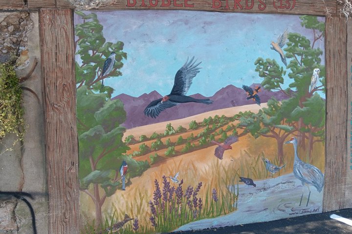90 Minuten - Private Jeep Tour Bisbee Architektur Geschichte Landschaftlich