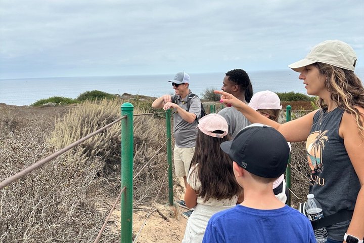 Geführte Küstenwanderung und Ökologietour in Dana Point