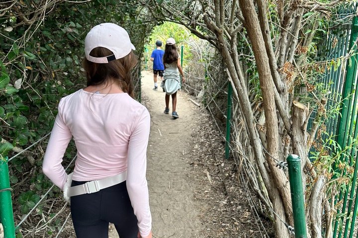 Geführte Küstenwanderung und Ökologietour in Dana Point
