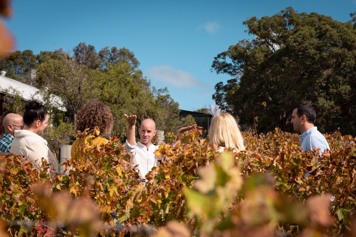 Margaret River Vino curado para grupos pequeños, café, almuerzo y bosque