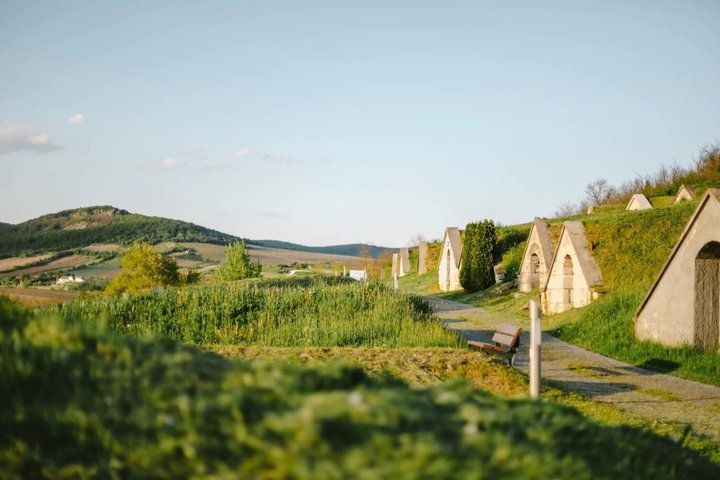 Degustación de Vinos Tokaj con Tokaji Aszú y Tapas en una Bodega UNESCO