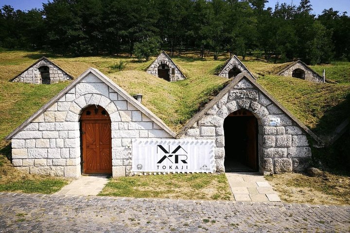 Degustación de Vinos Tokaj con Tokaji Aszú y Tapas en una Bodega UNESCO