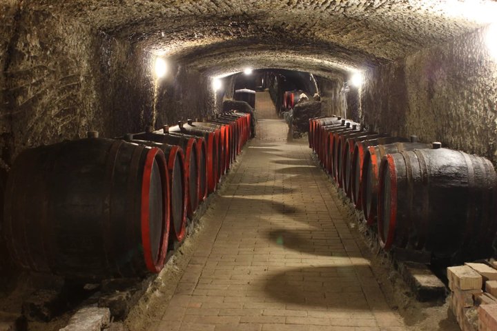 Degustación de Vinos Tokaj con Tokaji Aszú y Tapas en una Bodega UNESCO