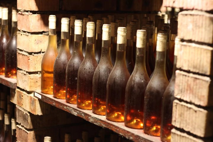 Degustación de Vinos Tokaj con Tokaji Aszú y Tapas en una Bodega UNESCO