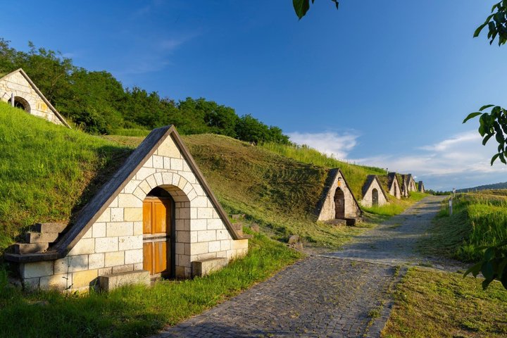 Degustación de Vinos Tokaj con Tokaji Aszú y Tapas en una Bodega UNESCO