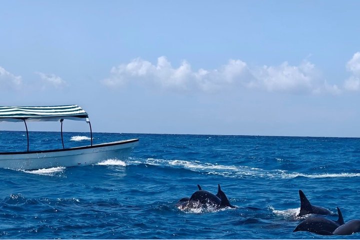 Zanzibar Mnemba Island Avventura di snorkeling e osservazione dei delfini