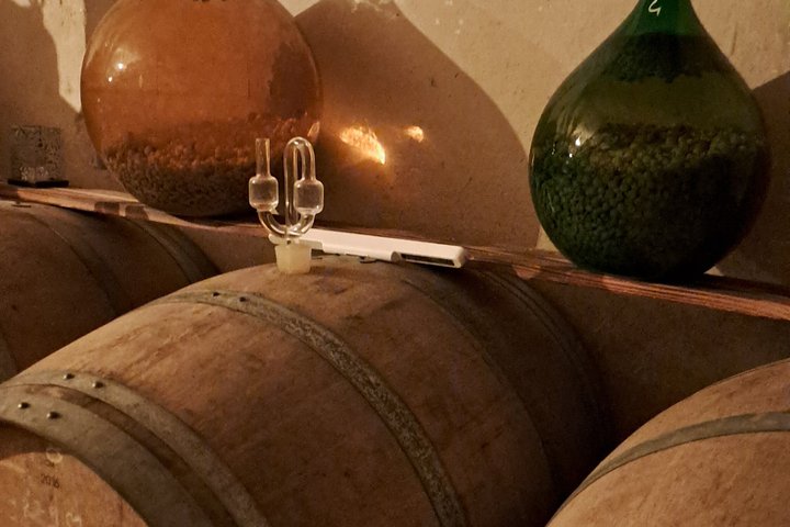 Einführung in Loire Anjou Weine Nachmittags Weinprobe Tour