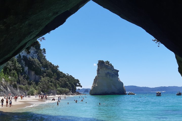 Exclusivo Coromandel Tour de Dia de Natureza e História