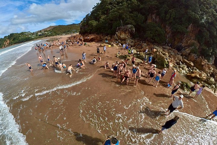 Exclusivo Coromandel Tour de Dia de Natureza e História