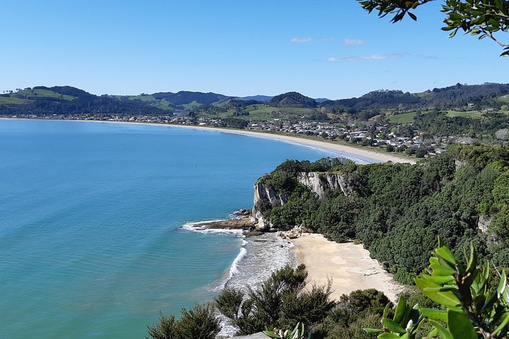 Exclusivo Coromandel Tour de Dia de Natureza e História