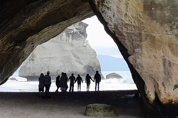 Exclusivo Coromandel Tour de Dia de Natureza e História