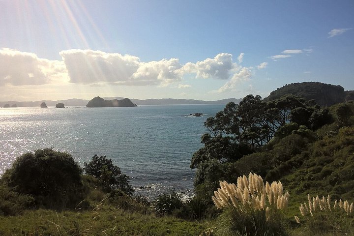 Exclusivo Coromandel Tour de Dia de Natureza e História