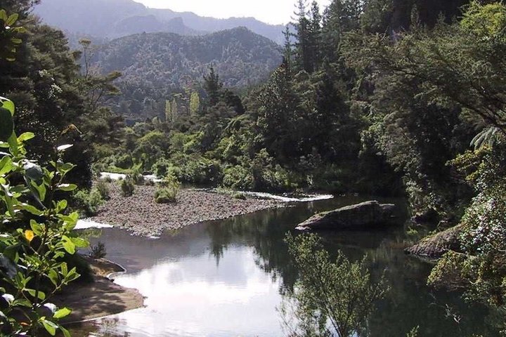 Exclusivo Coromandel Tour de Dia de Natureza e História