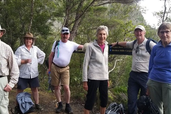 Exclusivo Coromandel Tour de Dia de Natureza e História