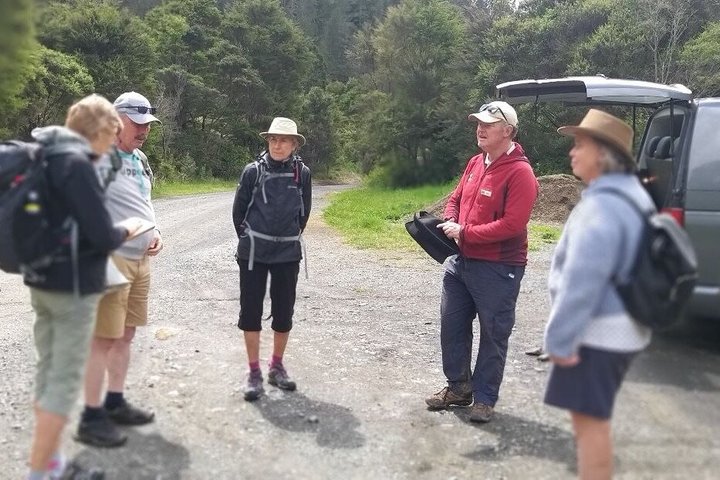 Exclusivo Coromandel Tour de Dia de Natureza e História