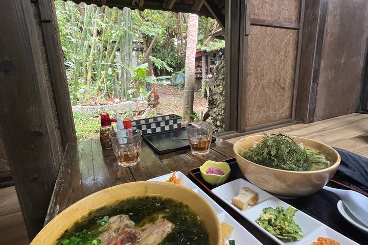 Tour panoramico e delle gemme nascoste di Okinawa settentrionale 1–8 ospiti(4 - 8H)
