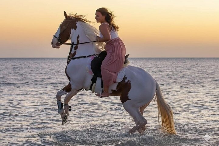 Équitation Nabq Bay Beach, lever du soleil et coucher du soleil-Sharm El Sheikh