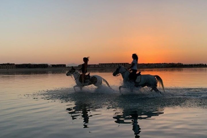Équitation Nabq Bay Beach, lever du soleil et coucher du soleil-Sharm El Sheikh