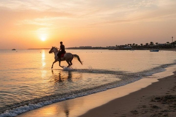 Équitation Nabq Bay Beach, lever du soleil et coucher du soleil-Sharm El Sheikh