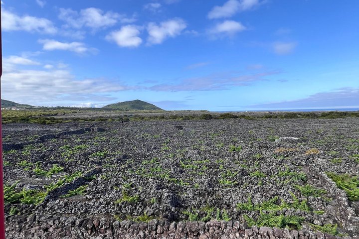 Tour privato del vino di Pico Island con degustazioni