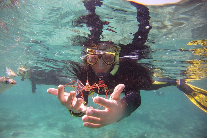 Get Wet snorklingtur till Isla de Lobos från Corralejo