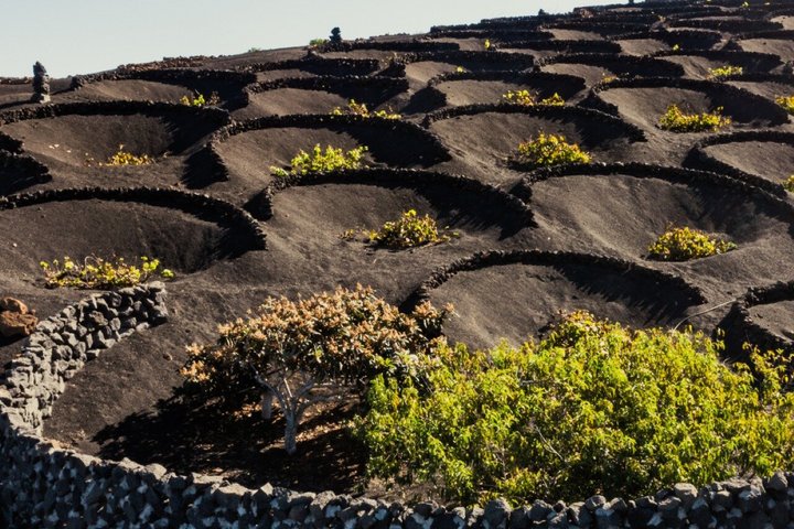 Excursión al Timanfaya y sur de Lanzarote desde Fuerteventura