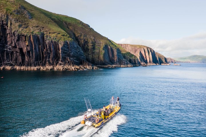 Dingle Sea Safari - Tour en barco por la costa en Dingle Bay