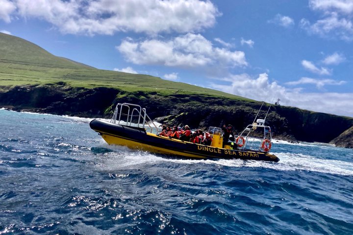 Dingle Sea Safari - Tour en barco por la costa en Dingle Bay