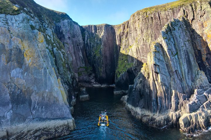 Dingle Sea Safari - Tour en barco por la costa en Dingle Bay