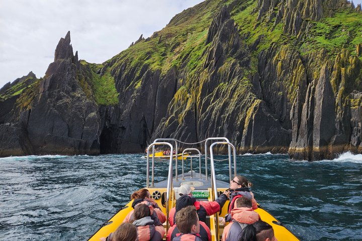 Dingle Sea Safari - Tour en barco por la costa en Dingle Bay