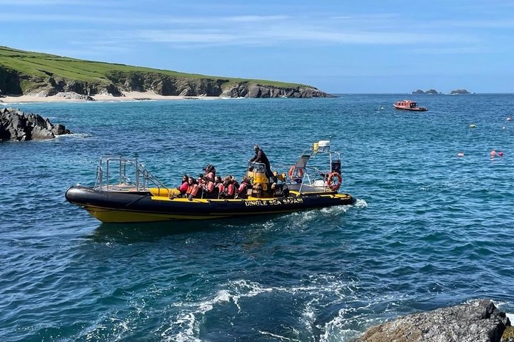 Dingle Sea Safari - Tour en barco por la costa en Dingle Bay