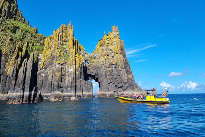 Dingle Sea Safari - Tour en barco por la costa en Dingle Bay