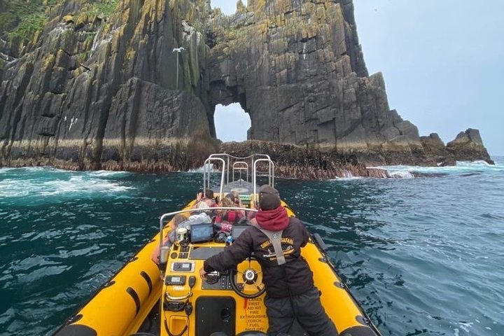 Dingle Sea Safari - Tour en barco por la costa en Dingle Bay