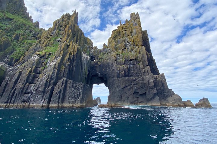 Dingle Sea Safari - Tour en barco por la costa en Dingle Bay