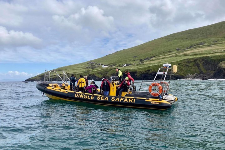 Dingle Sea Safari - Tour en barco por la costa en Dingle Bay