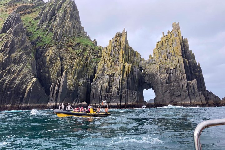 Dingle Sea Safari - Tour en barco por la costa en Dingle Bay