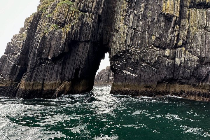 Dingle Sea Safari - Tour en barco por la costa en Dingle Bay